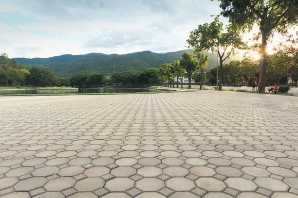 Best Concrete Paver Driveway  in Edgewood, MD